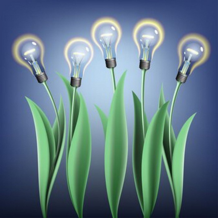 Light bulbs, ideas, ecology, ecological, ecosystem